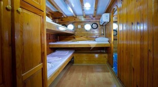 Artemis East Mediterranean