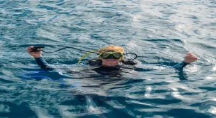 Hazel Della Caribbean Virgin Islands (US/BVI), Caribbean Leewards, Caribbean Virgin Islands (US), Caribbean Virgin Islands (BVI)