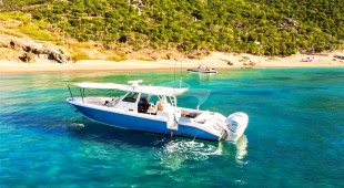 Aspen Alternative Caribbean, Central America, East Coast United States