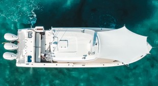 Aspen Alternative Caribbean, Central America, East Coast United States