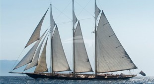 Atlantic Caribbean, Northern Europe, West Mediterranean