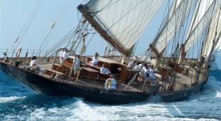 Atlantic Caribbean, Northern Europe, West Mediterranean