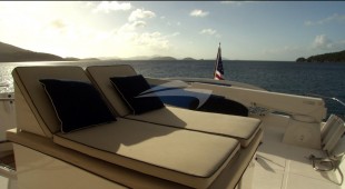 Aurelia Caribbean, East Coast United States