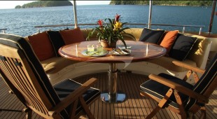 Aurelia Caribbean, East Coast United States