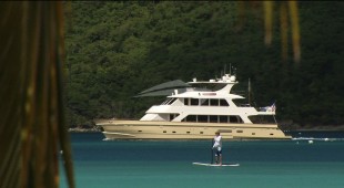 Aurelia Caribbean, East Coast United States