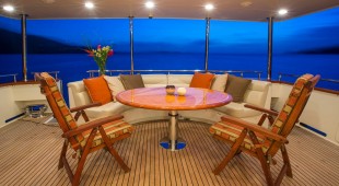 Aurelia Caribbean, East Coast United States