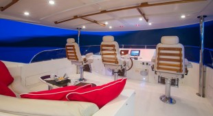 Aurelia Caribbean, East Coast United States