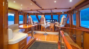 Aurelia Caribbean, East Coast United States