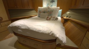 Aurelia Caribbean, East Coast United States