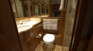 Aurelia Caribbean, East Coast United States