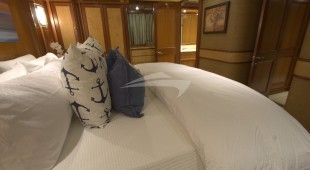 Aurelia Caribbean, East Coast United States