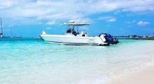 Avalina Caribbean