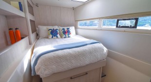 Barefoot Cowboy Caribbean