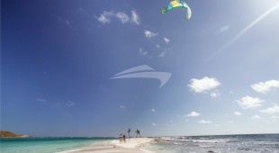 Belline Ii Caribbean