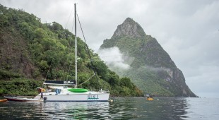 Belline Ii Caribbean
