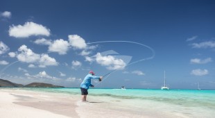 Belline Ii Caribbean