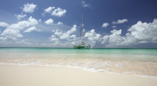 Belline Ii Caribbean