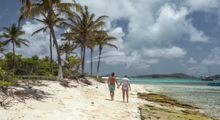 Belline Ii Caribbean