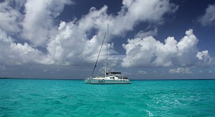 Belline Ii Caribbean