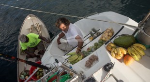 Belline Ii Caribbean