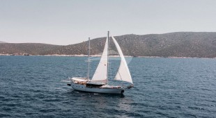 Beyaz Lale East Mediterranean