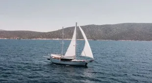 Beyaz Lale Greece, Turkey