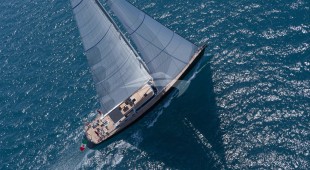 Black Lion East Mediterranean