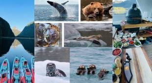 Blackwood West Coast United States