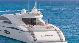 Blue Devil Caribbean