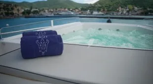 Blue Devil Caribbean