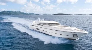 Blue Devil Caribbean