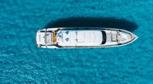 Blue Devil Caribbean