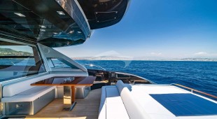 Blue Shark West Mediterranean