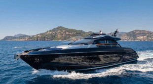 Blue Shark West Mediterranean