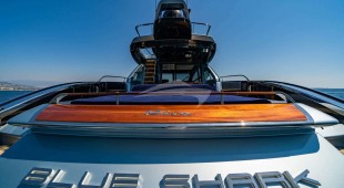 Blue Shark West Mediterranean