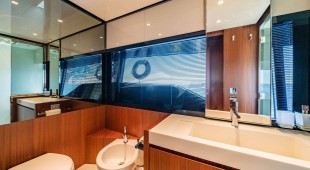 Blue Shark West Mediterranean