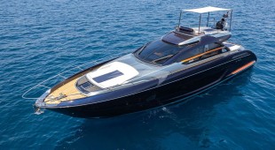 Blue Shark West Mediterranean