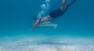 Boatox Caribbean