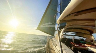 Bodhisattva Caribbean