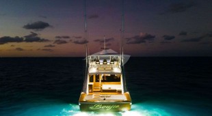 Boujie Central America