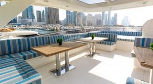 Caliente Arabian Gulf