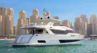 Caliente Arabian Gulf