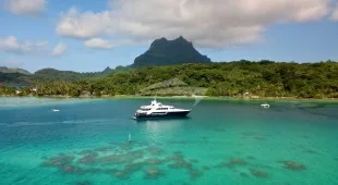 Calliope Caribbean
