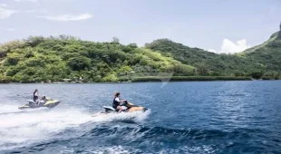 Calliope Caribbean
