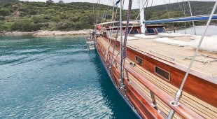 Carolina Greece, Turkey