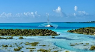 Cartouche Caribbean, East Mediterranean, West Mediterranean