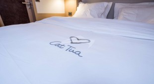 Cat Tua West Mediterranean