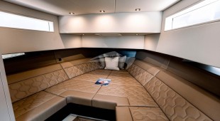 Cece East Coast United States