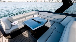 Cece East Coast United States