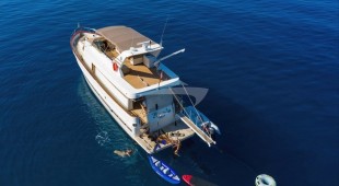 Custom Blanka East Mediterranean